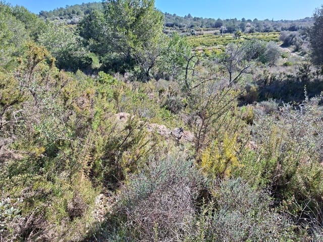 Ubebygd land til salgs i Tarragona by - € 60 000 (Ref: 9989167)