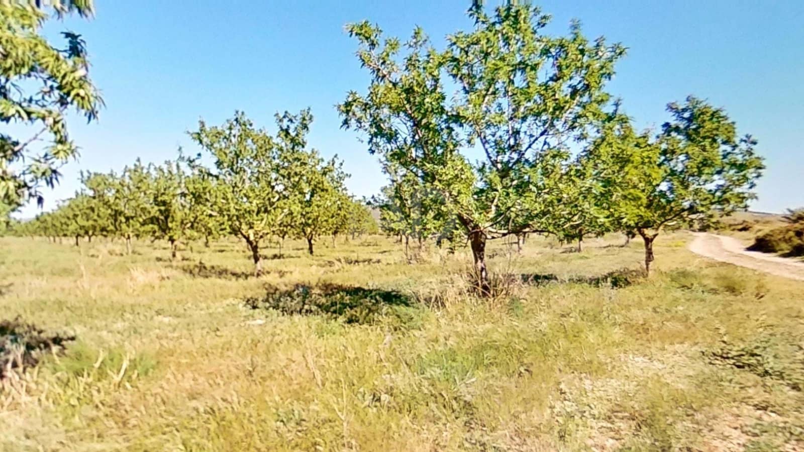 Finca/Country House for sale in Tarragona city - € 450,000 (Ref: 9989191)