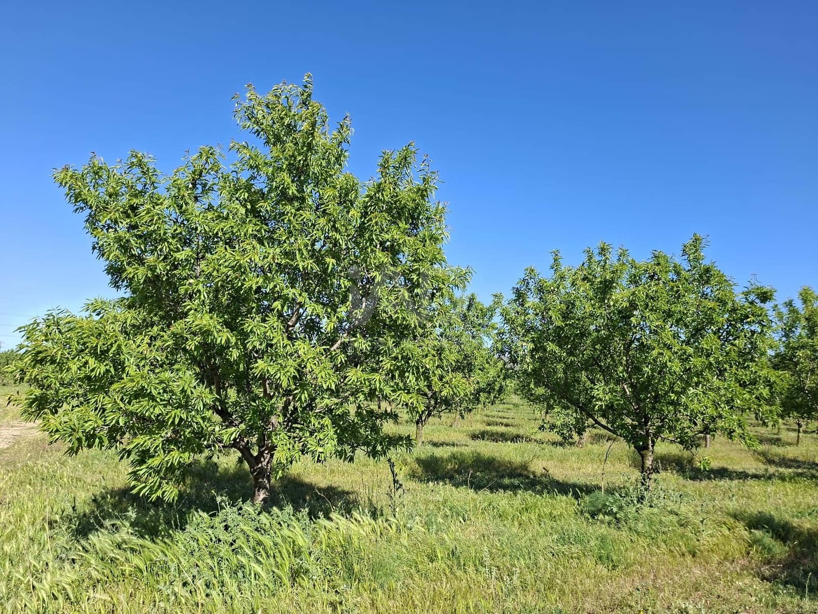 Finca/Country House for sale in Tarragona city - € 450,000 (Ref: 9989191)