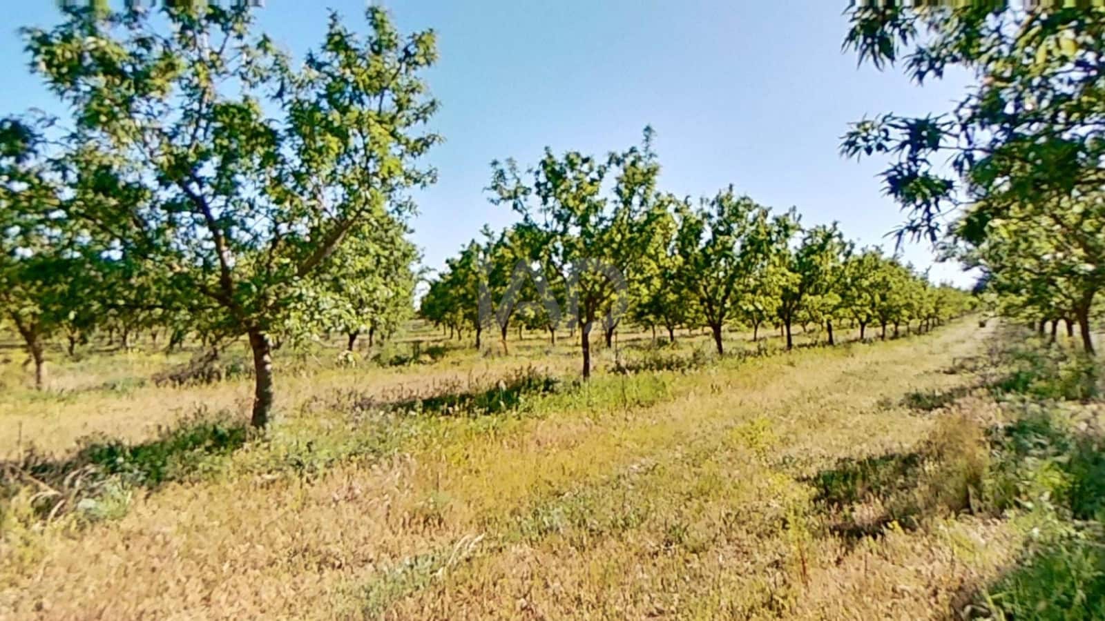 Finca/Country House for sale in Tarragona city - € 450,000 (Ref: 9989191)