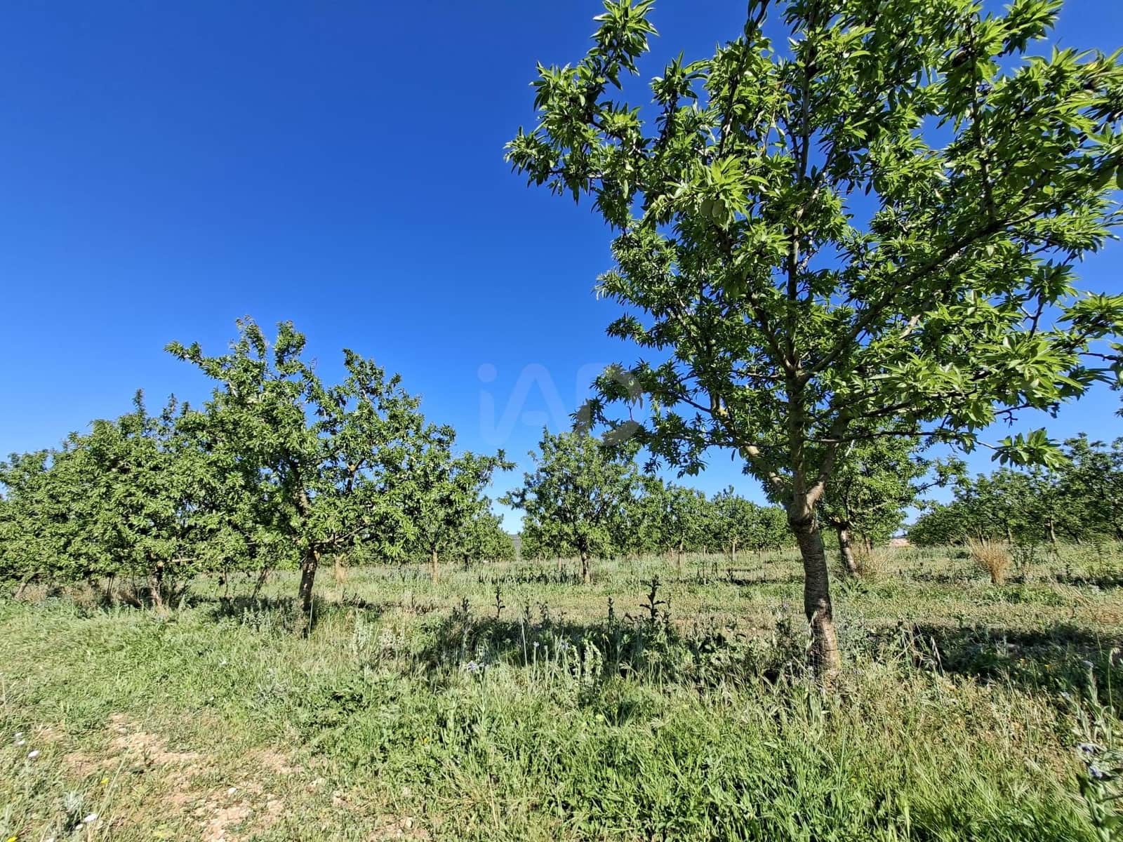 Finca/Country House for sale in Tarragona city - € 450,000 (Ref: 9989191)