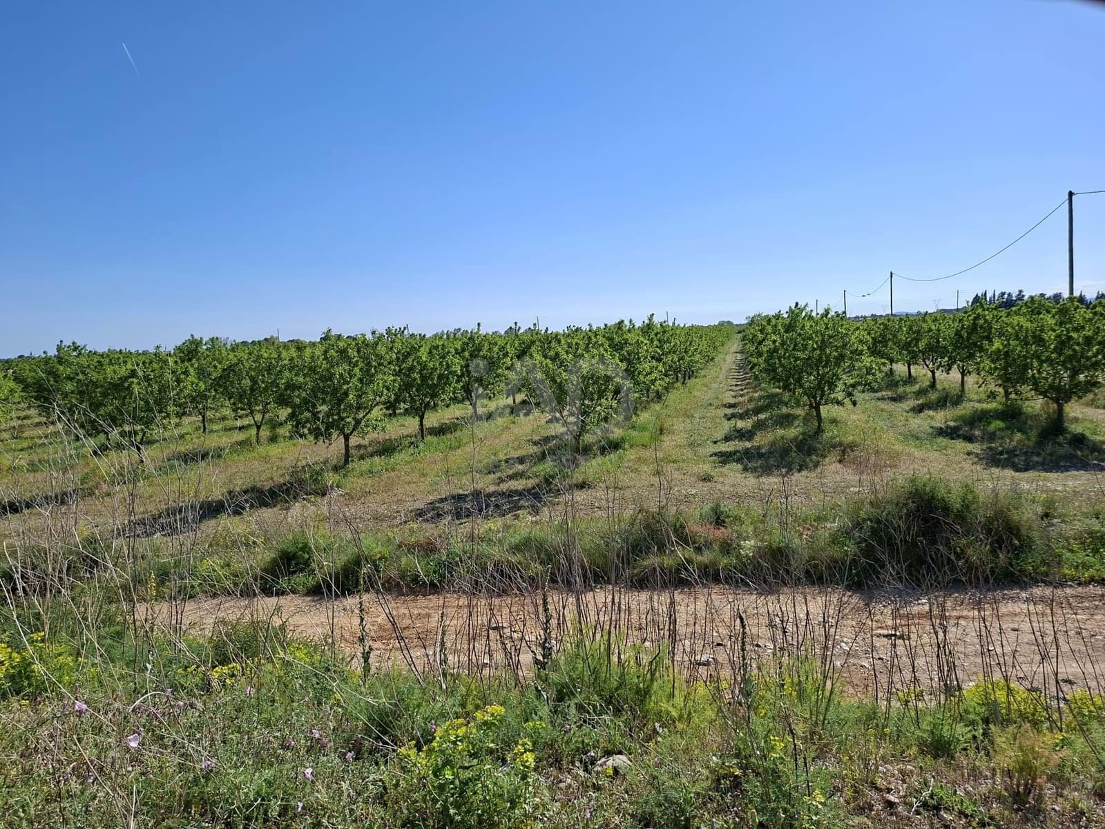 Finca/Country House for sale in Tarragona city - € 450,000 (Ref: 9989191)