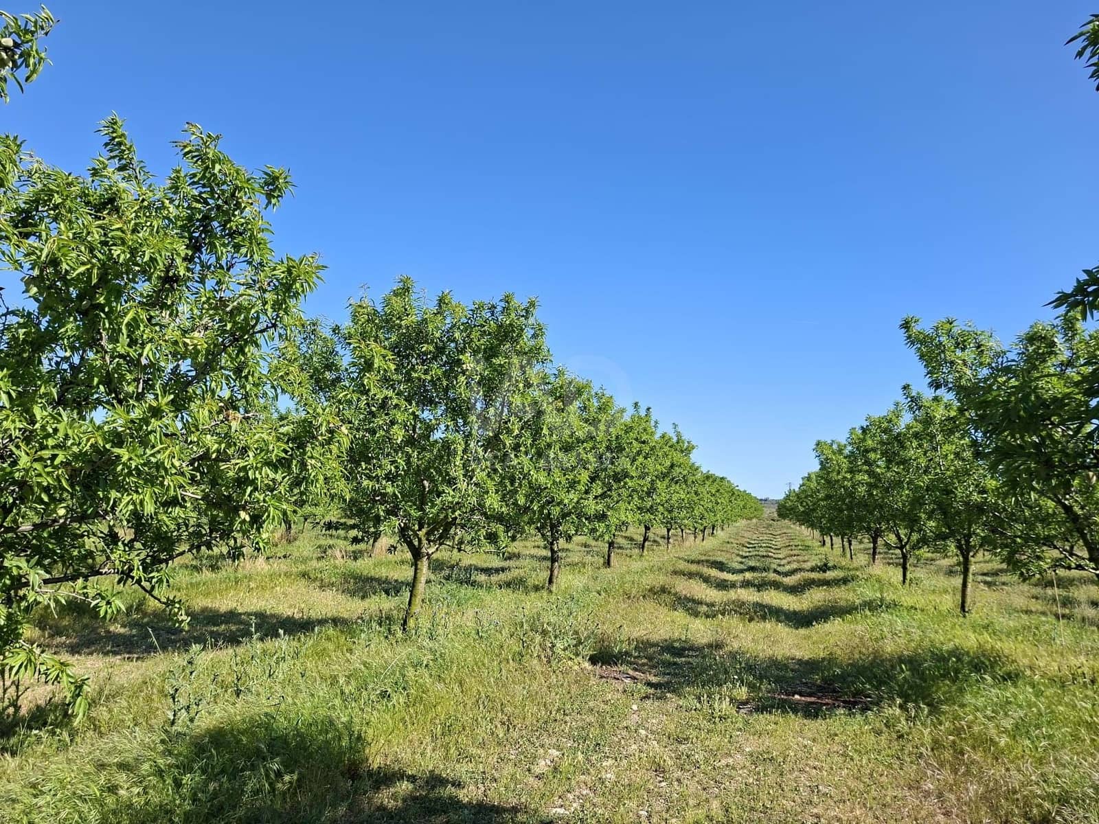 Finca/Country House for sale in Tarragona city - € 450,000 (Ref: 9989191)