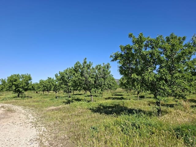 Finca/Landhuis te koop in Ulldecona - € 450.000 (Ref: 9989191)