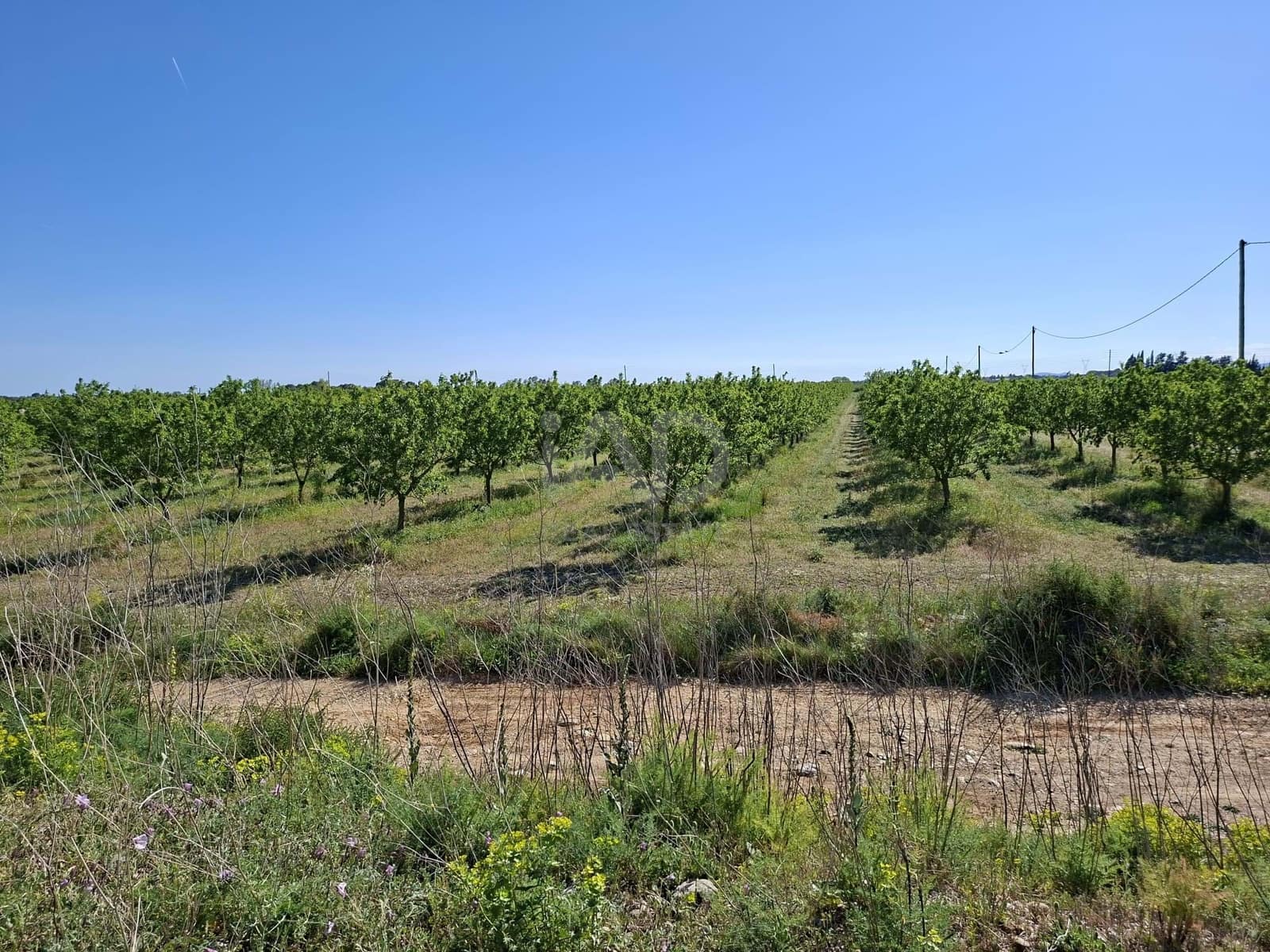 Finca/Country House for sale in Tarragona city - € 450,000 (Ref: 9989191)