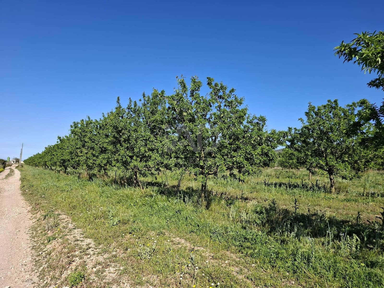 Finca/Country House for sale in Tarragona city - € 450,000 (Ref: 9989191)