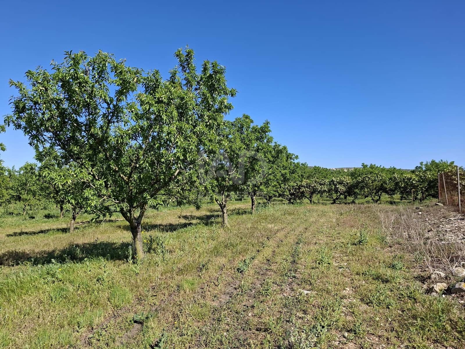 Finca/Country House for sale in Tarragona city - € 450,000 (Ref: 9989191)