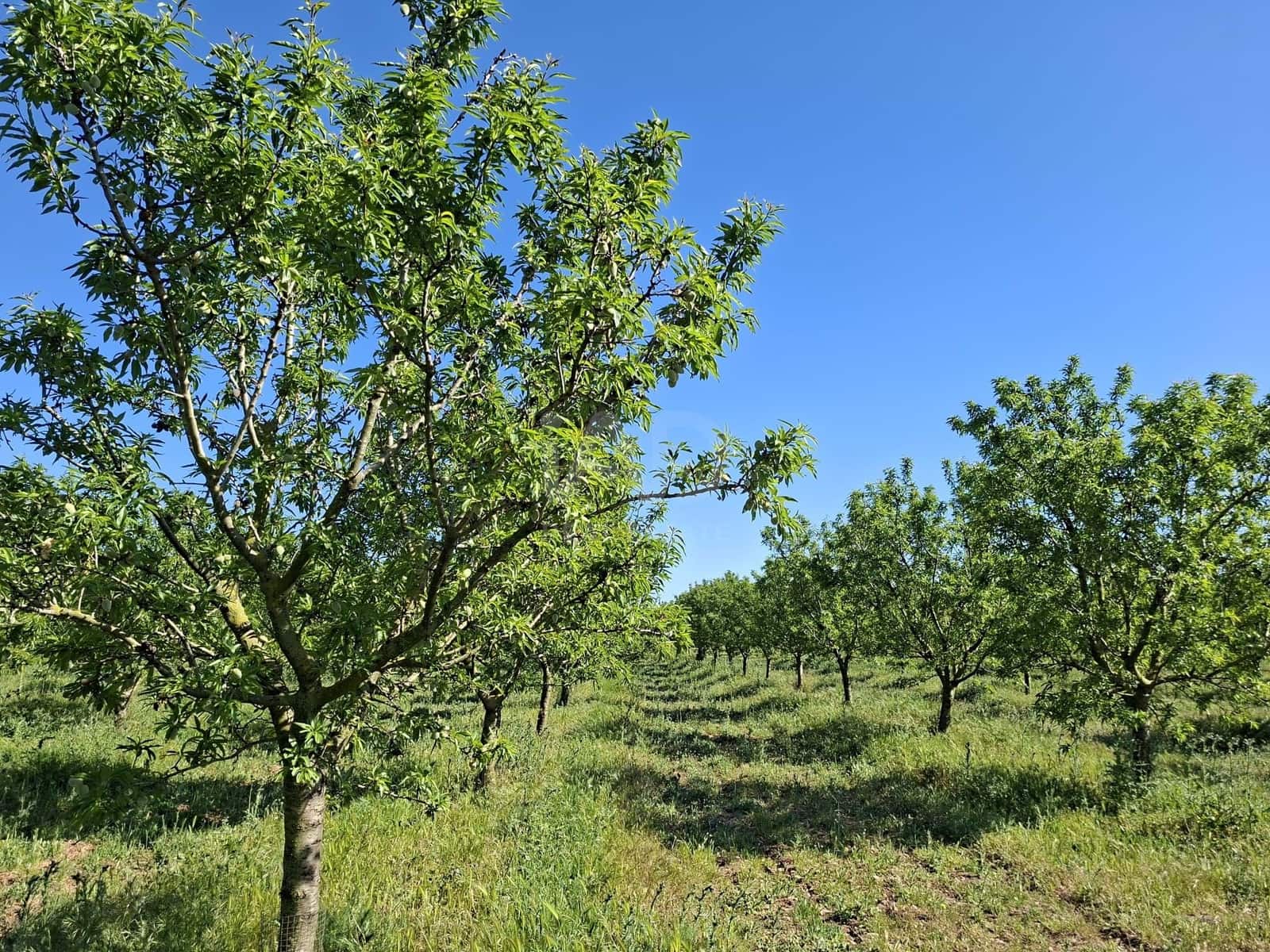 Finca/Country House for sale in Tarragona city - € 450,000 (Ref: 9989191)
