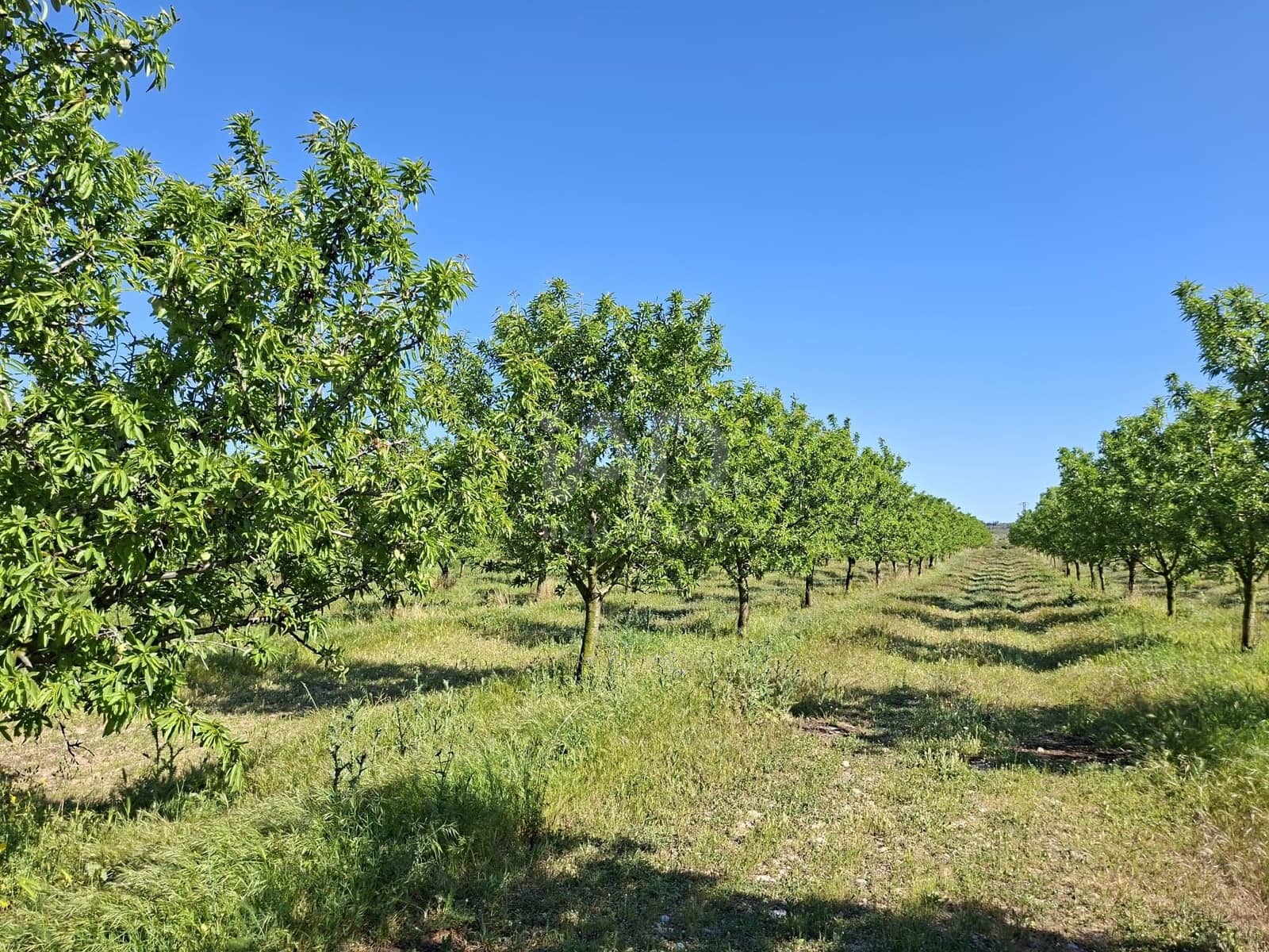 Finca/Country House for sale in Tarragona city - € 450,000 (Ref: 9989191)