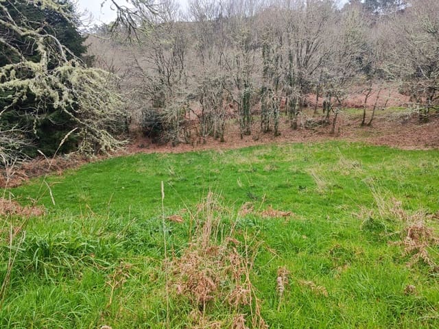 Finca/Landhuis te koop in A Capela - € 120.000 (Ref: 9989196)