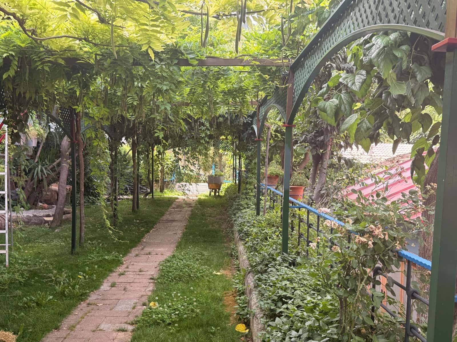 13 slaapkamer Finca/Landhuis te koop in Jaen stad met zwembad - € 640.000 (Ref: 9989198)