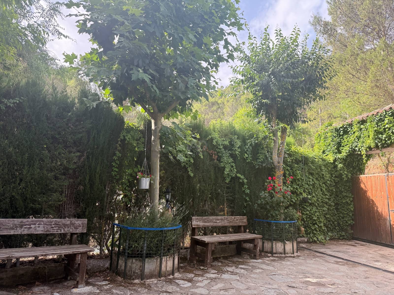 13 slaapkamer Finca/Landhuis te koop in Jaen stad met zwembad - € 640.000 (Ref: 9989198)