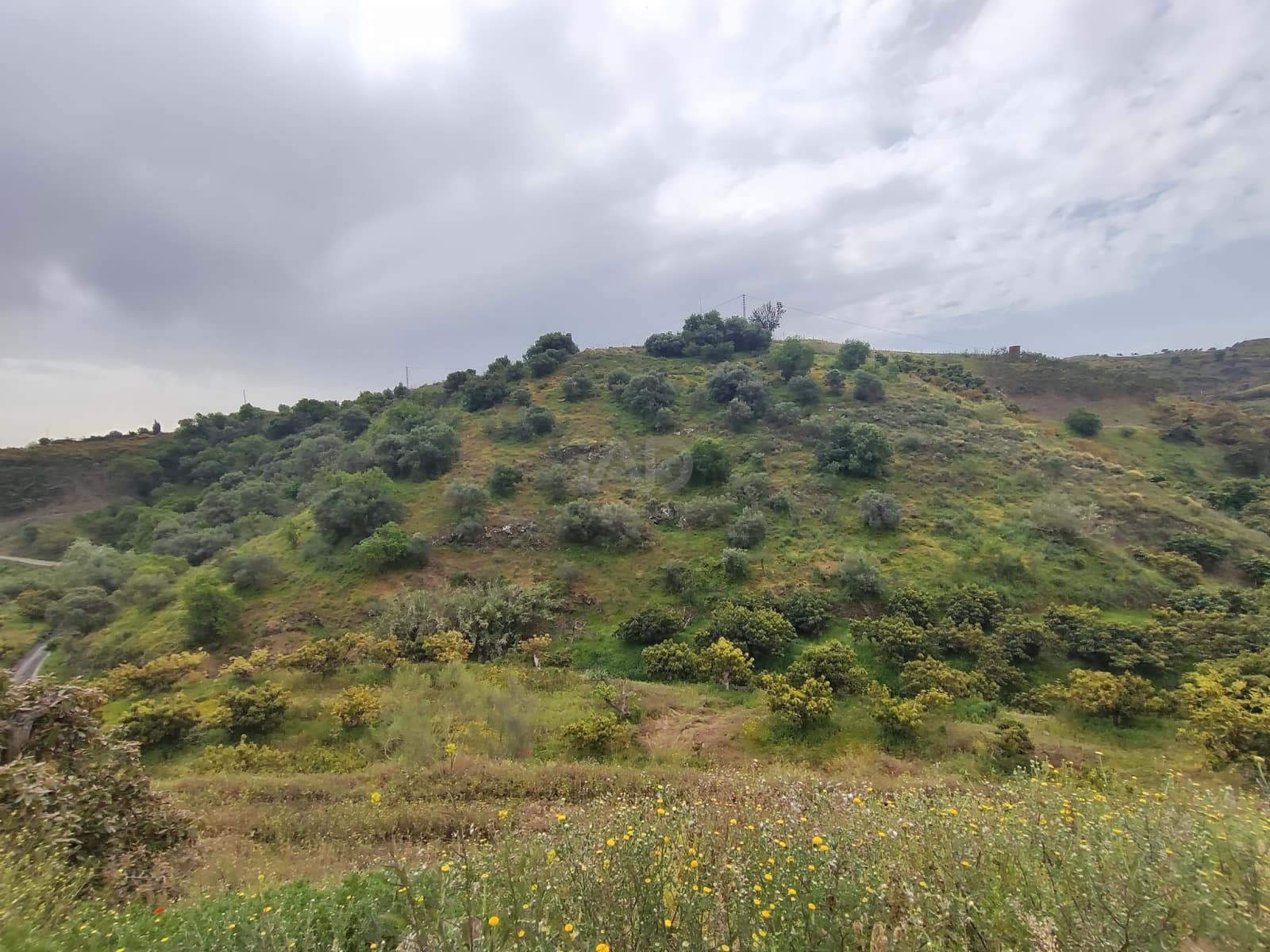 Finca/Herregård til salgs i Velez-Malaga - € 598 000 (Ref: 9989199)