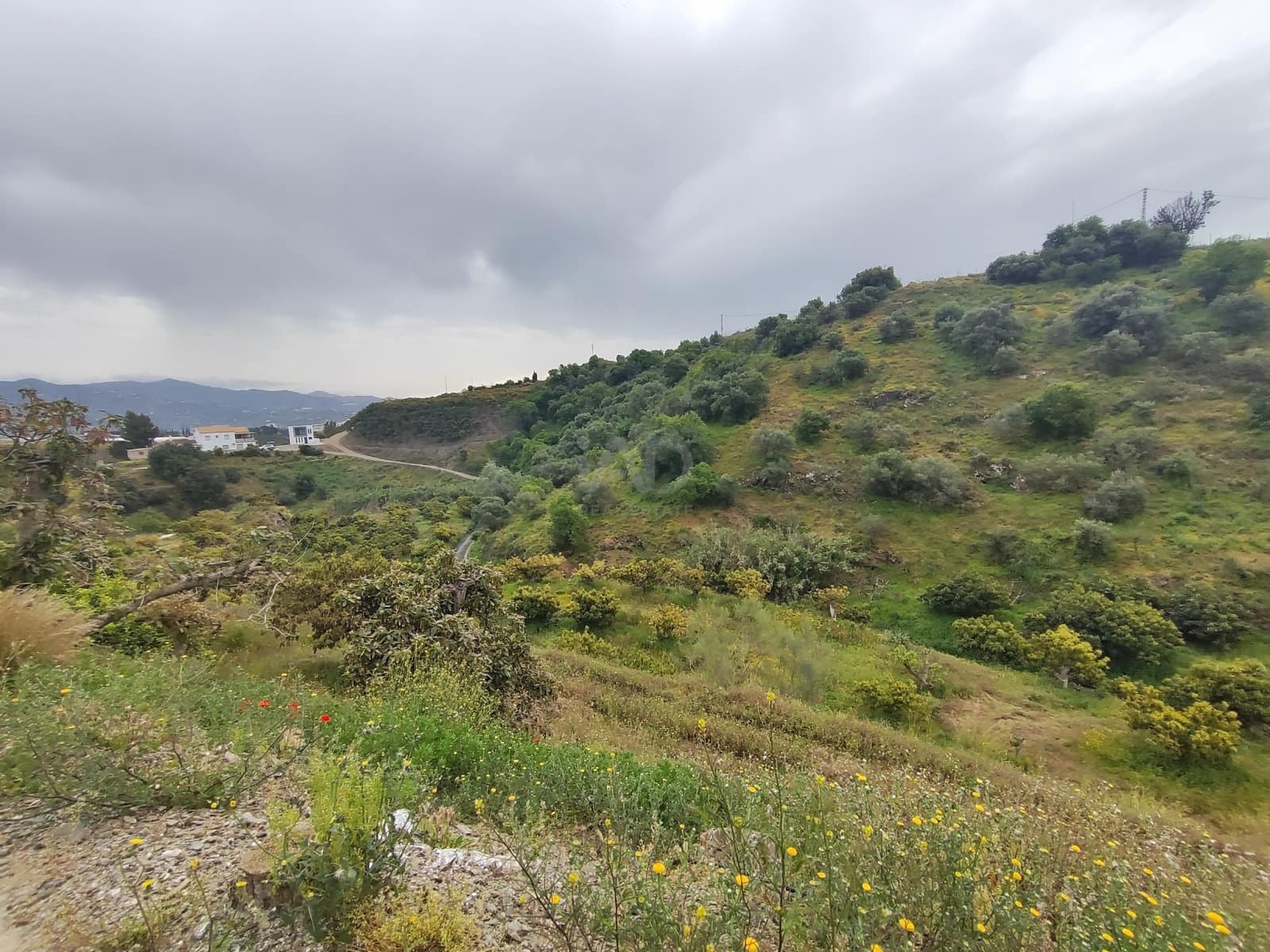 Finca/Herregård til salgs i Velez-Malaga - € 598 000 (Ref: 9989199)