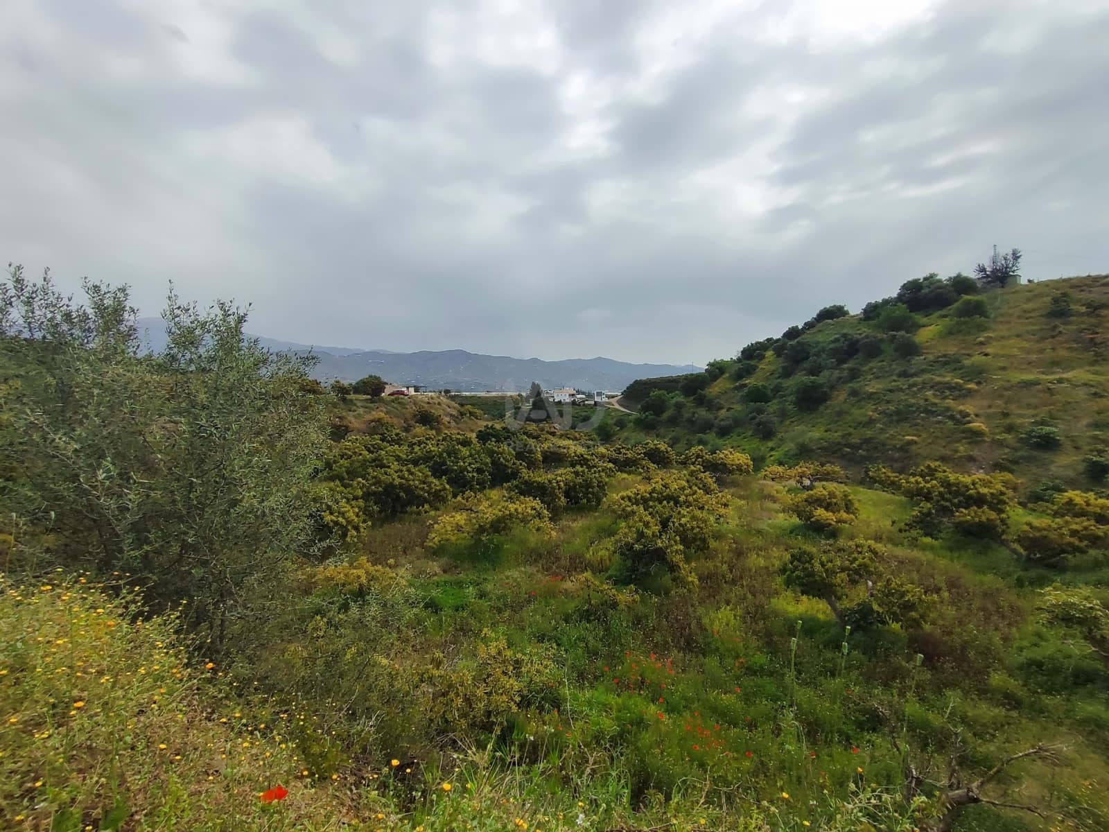 Finca/Herregård til salgs i Velez-Malaga - € 598 000 (Ref: 9989199)