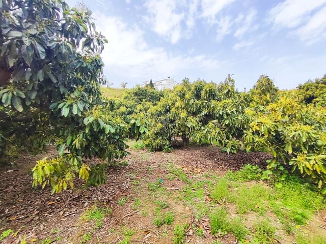 Finca/Herregård til salgs i Vélez-Málaga - € 598 000 (Ref: 9989199)