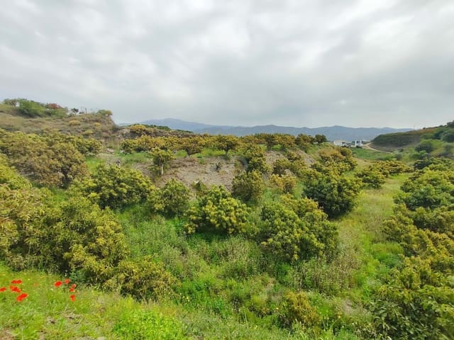 Finca/Herregård til salgs i Vélez-Málaga - € 598 000 (Ref: 9989199)