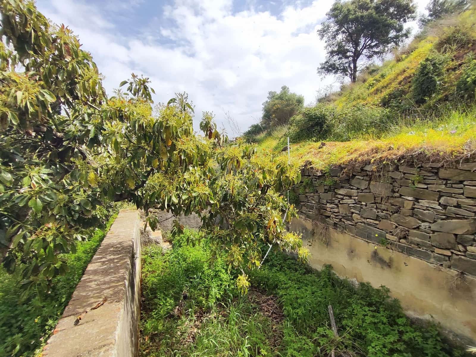 Finca/Herregård til salgs i Velez-Malaga - € 598 000 (Ref: 9989199)
