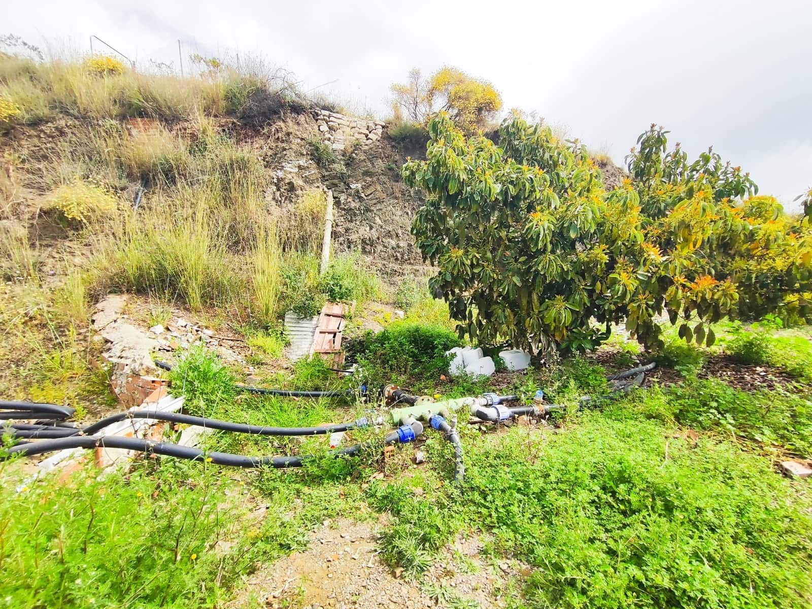 Finca/Herregård til salgs i Velez-Malaga - € 598 000 (Ref: 9989199)