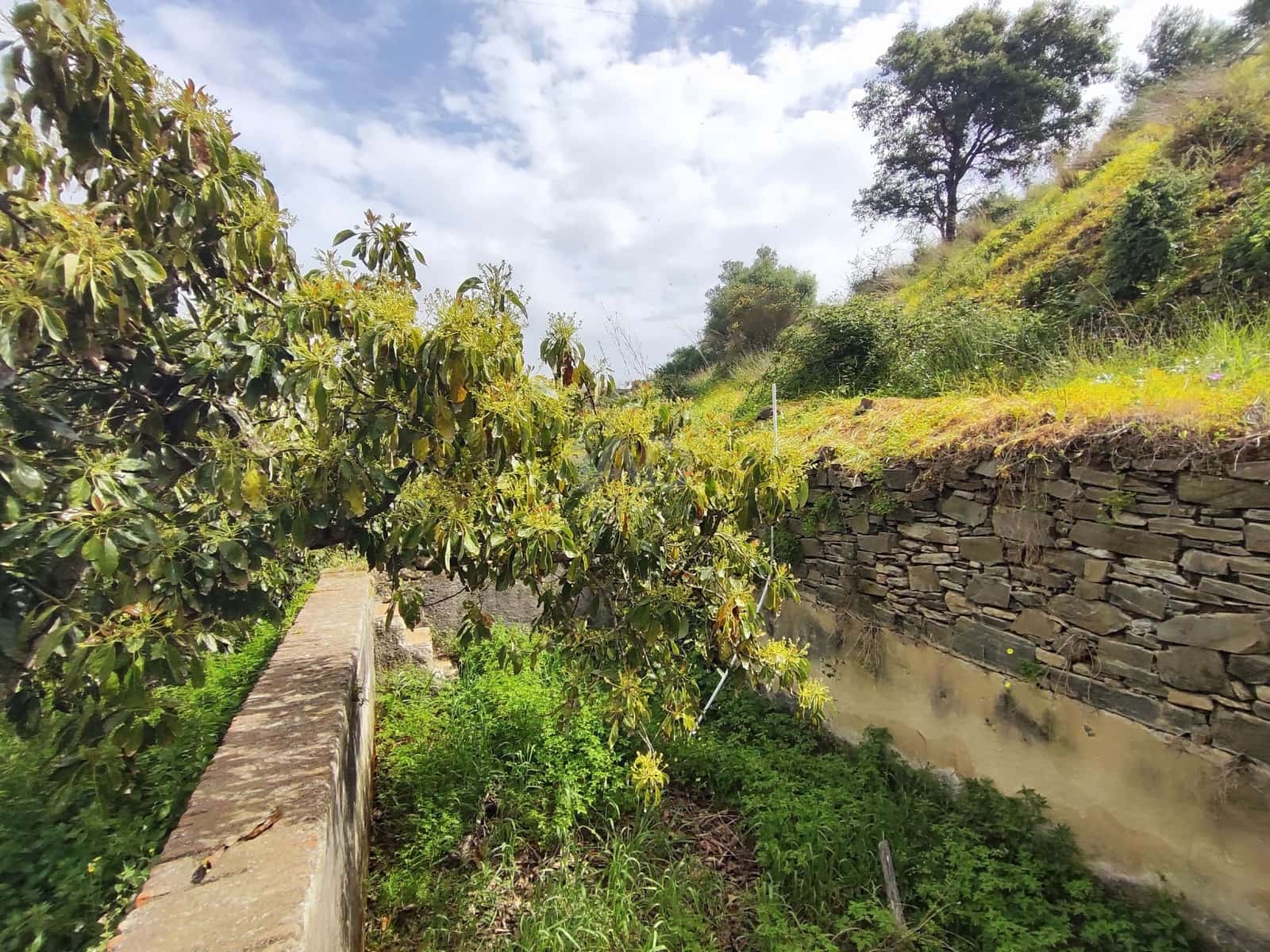 Finca/Herregård til salgs i Velez-Malaga - € 598 000 (Ref: 9989199)