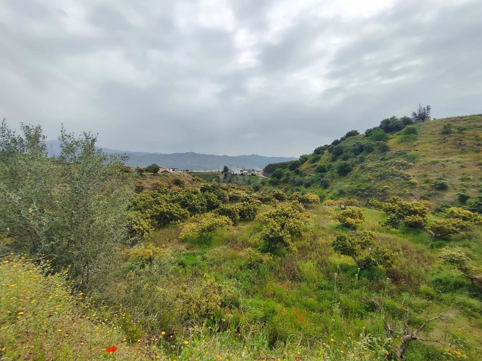 Finca/Herregård til salgs i Velez-Malaga - € 598 000 (Ref: 9989199)