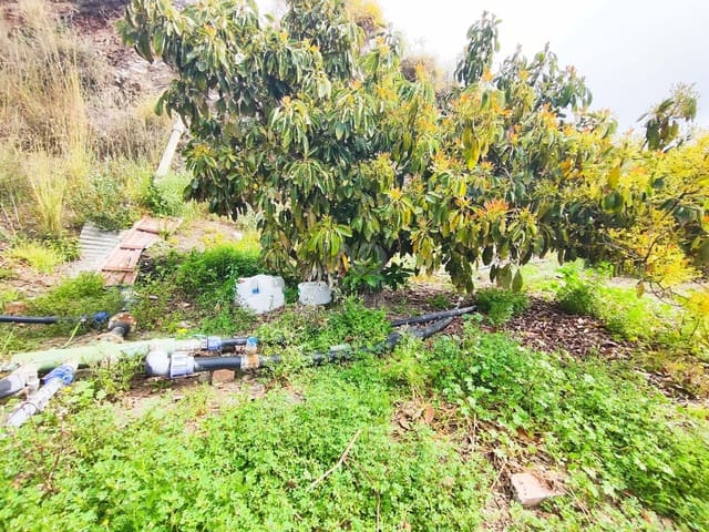 Finca/Herregård til salgs i Vélez-Málaga - € 598 000 (Ref: 9989199)