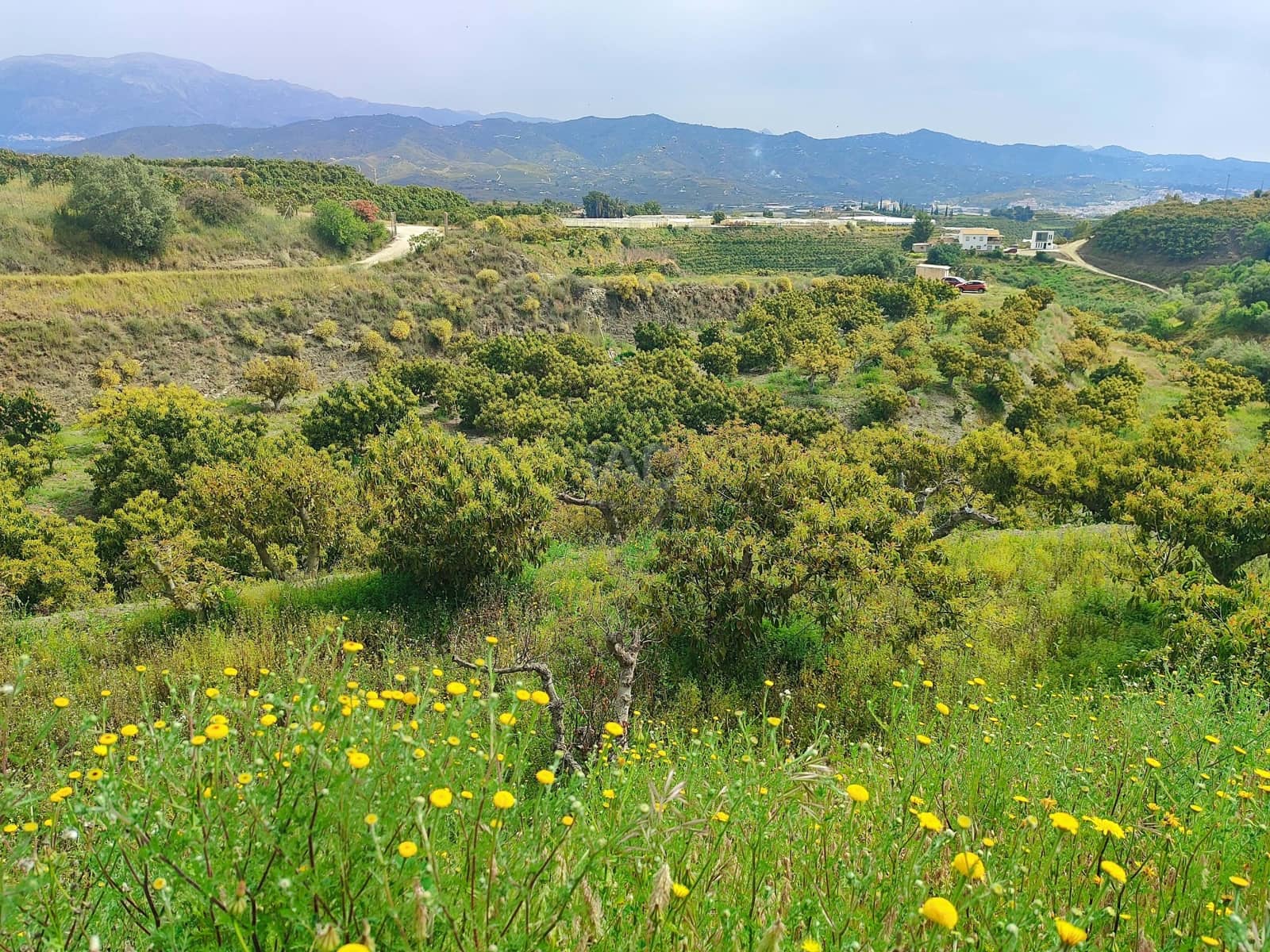 Finca/Herregård til salgs i Velez-Malaga - € 598 000 (Ref: 9989199)