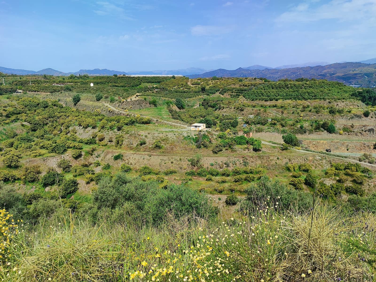 Finca/Herregård til salgs i Velez-Malaga - € 598 000 (Ref: 9989199)