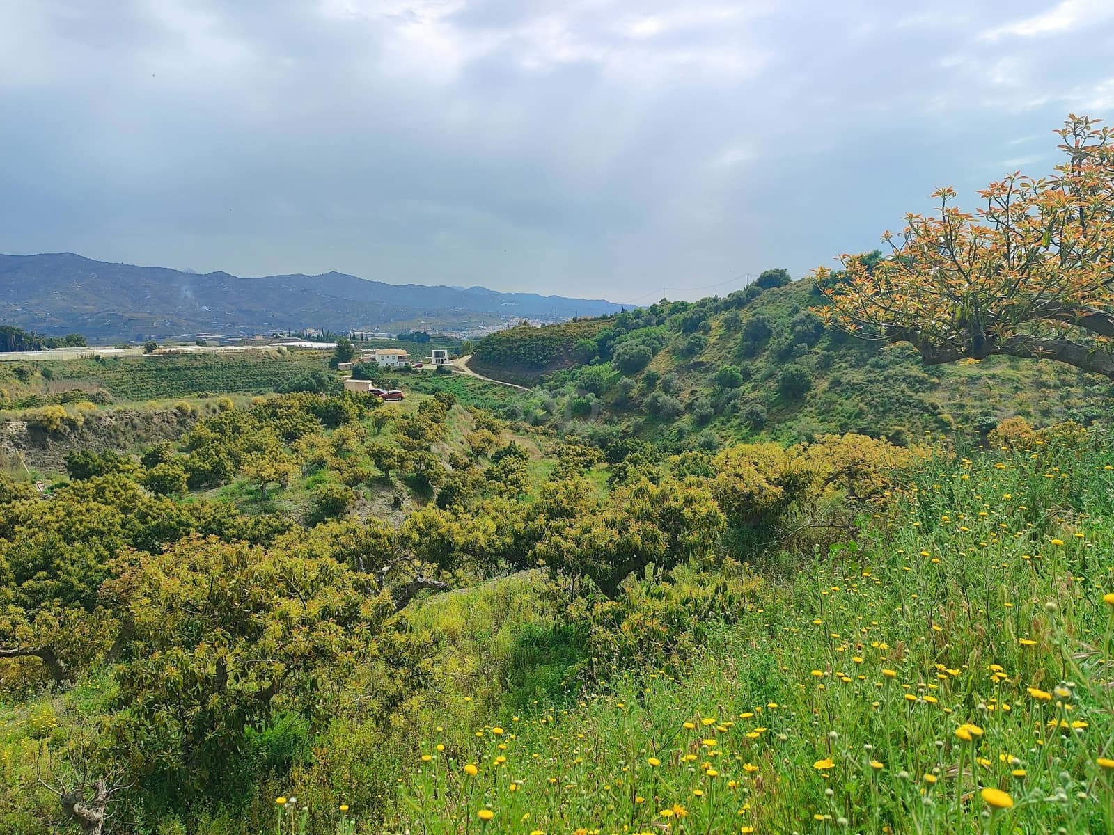 Finca/Herregård til salgs i Velez-Malaga - € 598 000 (Ref: 9989199)