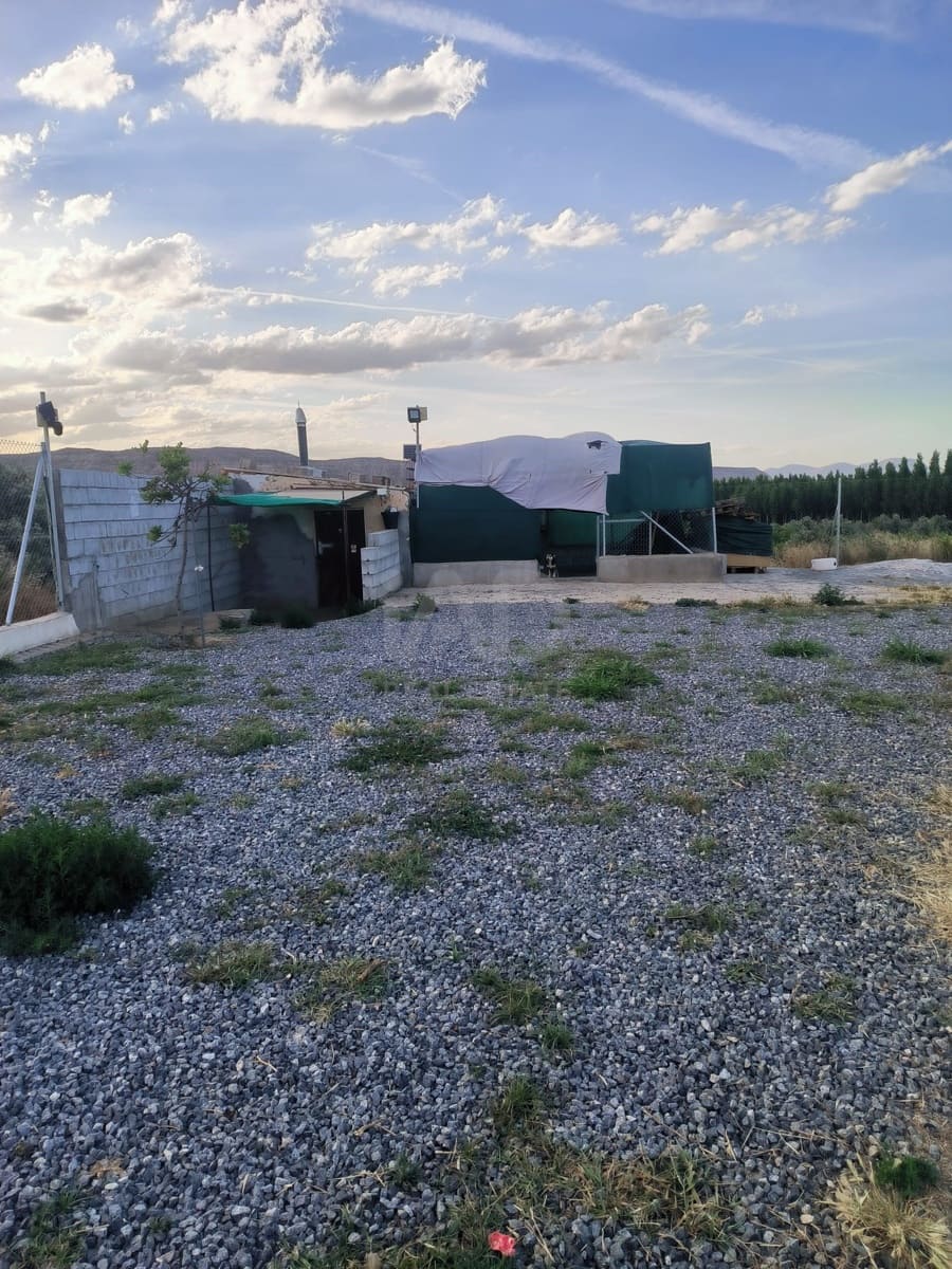 Grunde uden byggetilladelser til salg i Granada by - € 40.000 (Ref: 9989203)