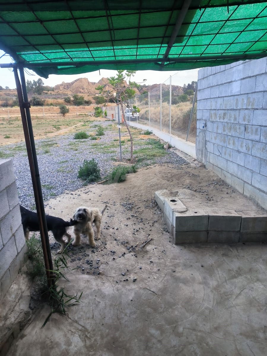 Grunde uden byggetilladelser til salg i Granada by - € 40.000 (Ref: 9989203)