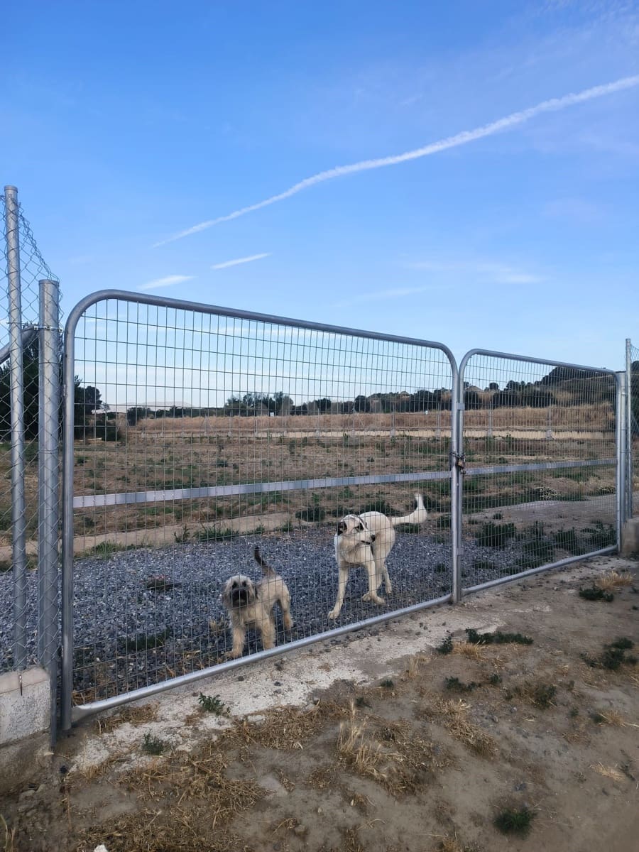 Grunde uden byggetilladelser til salg i Granada by - € 40.000 (Ref: 9989203)