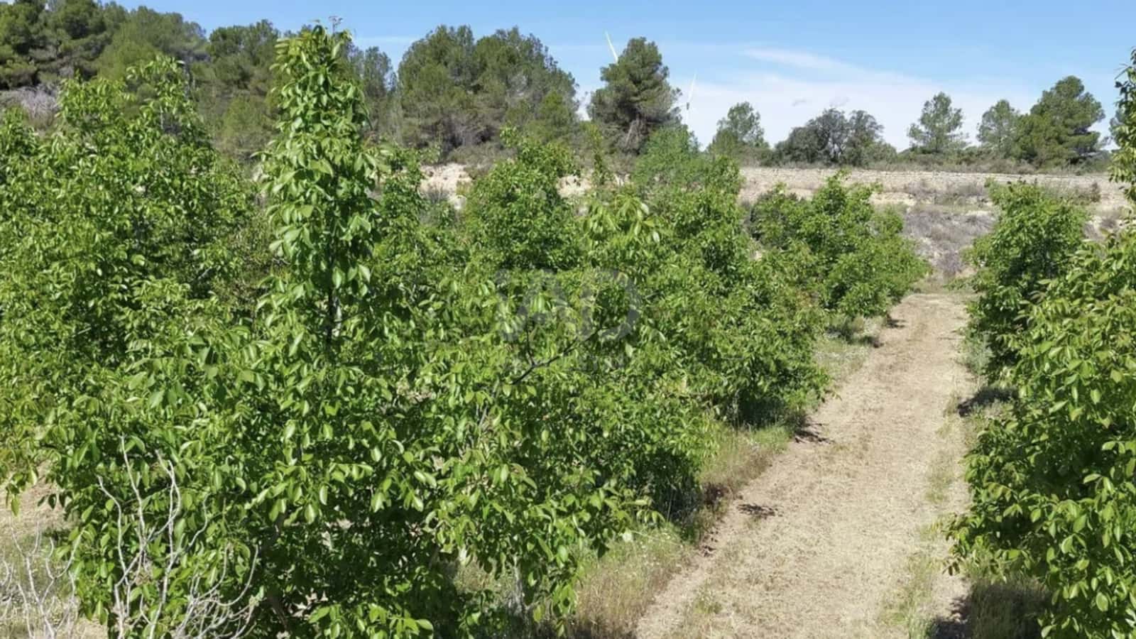 Finca/Country House for sale in Tarragona city - € 450,000 (Ref: 9989204)