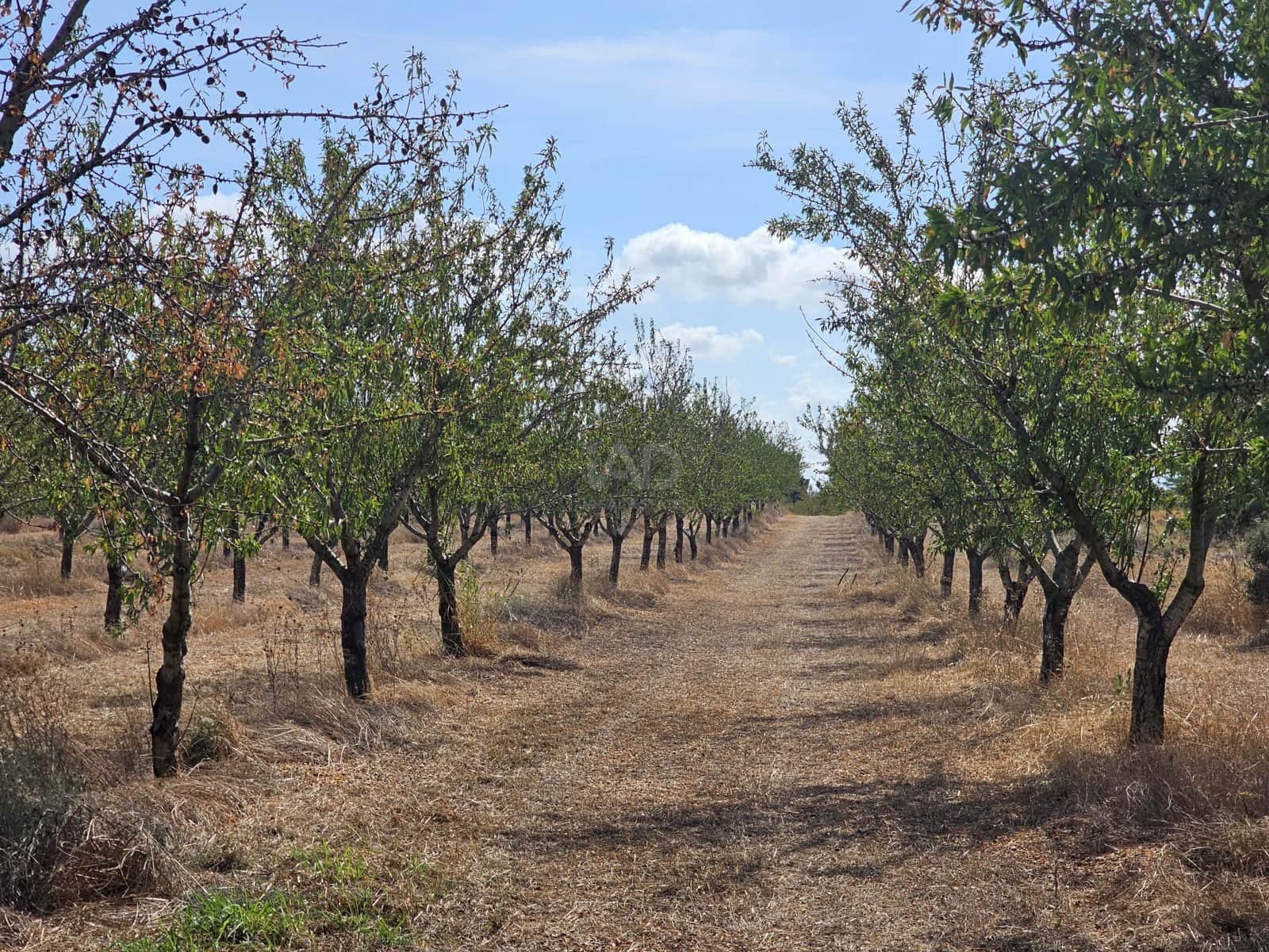 Finca/Country House for sale in Tarragona city - € 450,000 (Ref: 9989204)