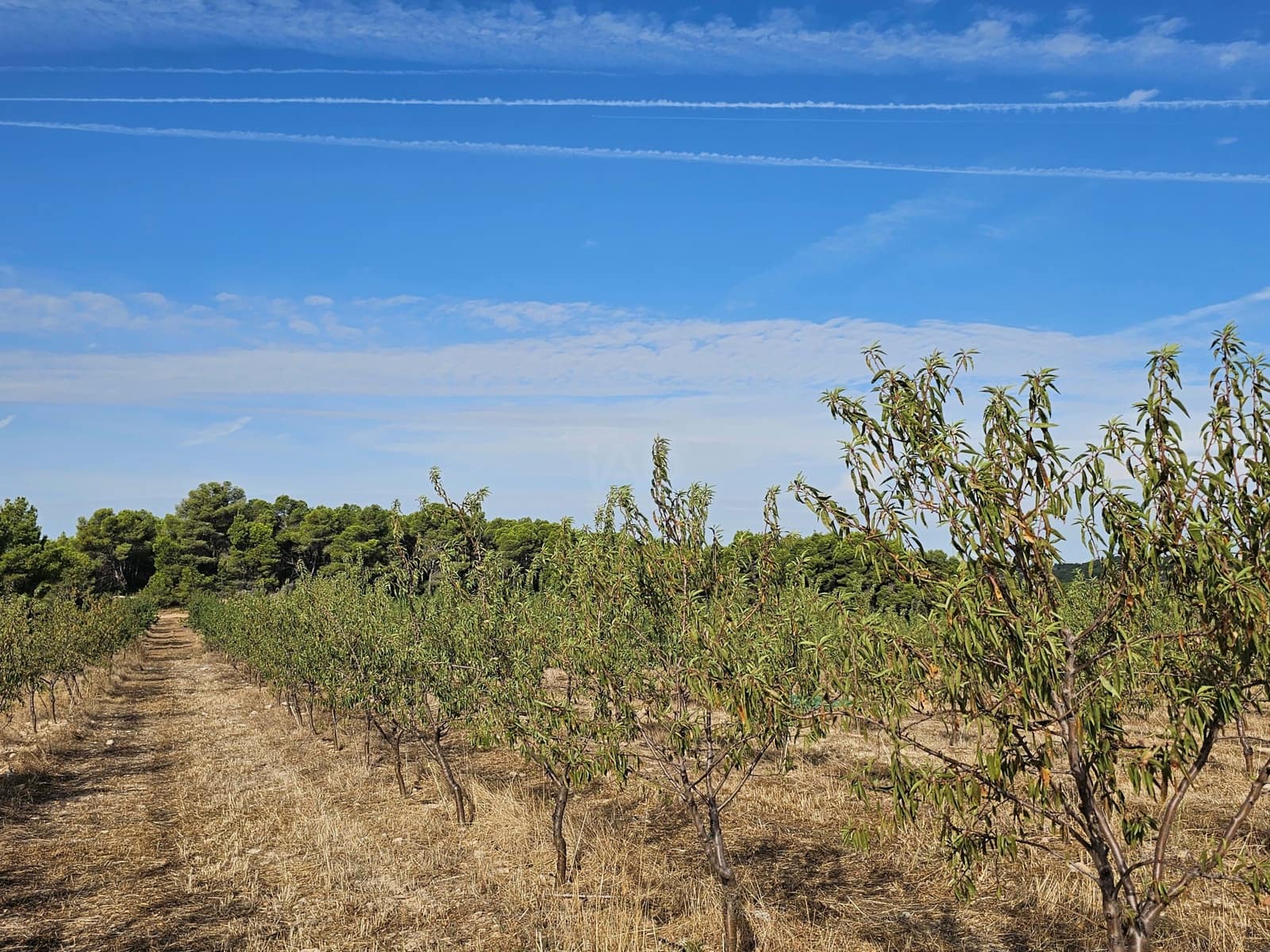 Finca/Country House for sale in Tarragona city - € 450,000 (Ref: 9989204)