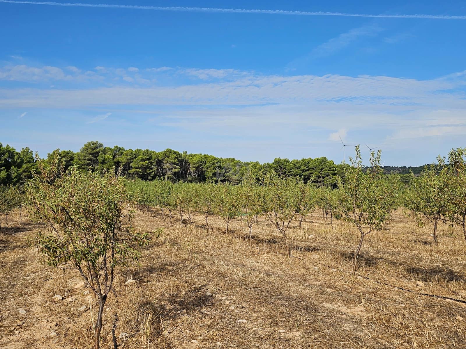 Finca/Country House for sale in Tarragona city - € 450,000 (Ref: 9989204)