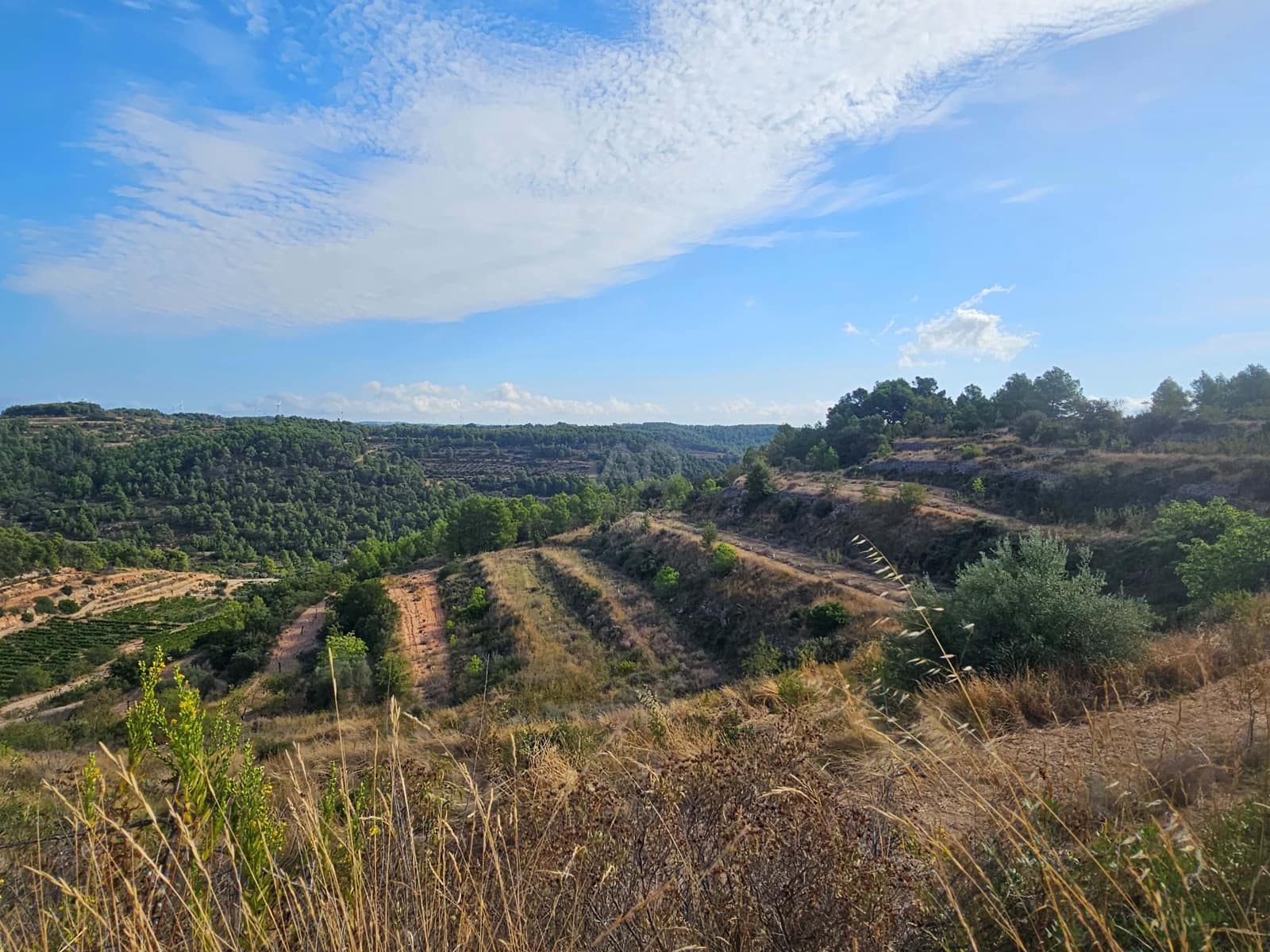 Finca/Country House for sale in Tarragona city - € 450,000 (Ref: 9989204)