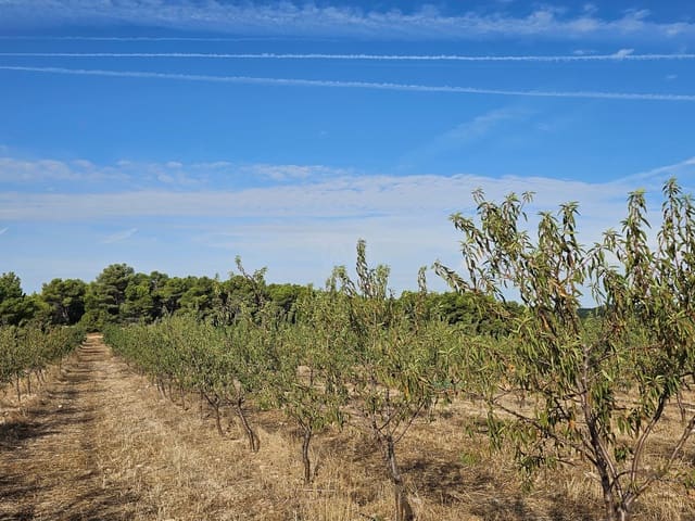 Finca/Maison de Campagne à vendre à Gandesa - 450 000 € (Ref: 9989204)