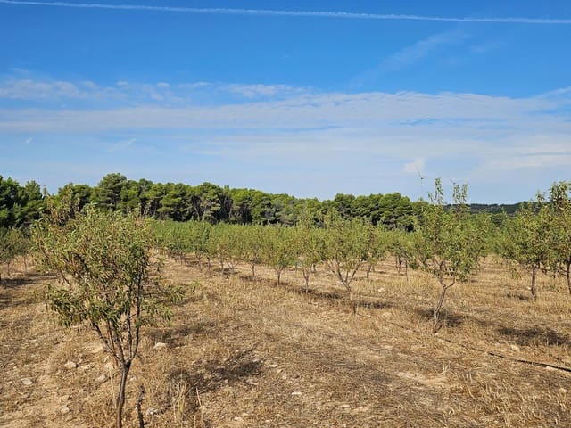 Finca/Maison de Campagne à vendre à Gandesa - 450 000 € (Ref: 9989204)