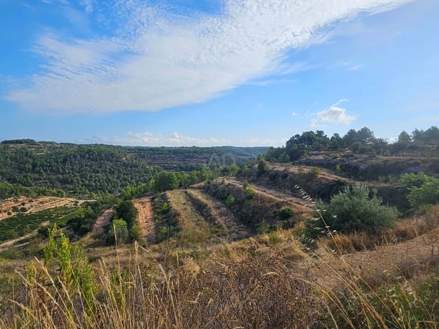 Finca/Maison de Campagne à vendre à Gandesa - 450 000 € (Ref: 9989204)