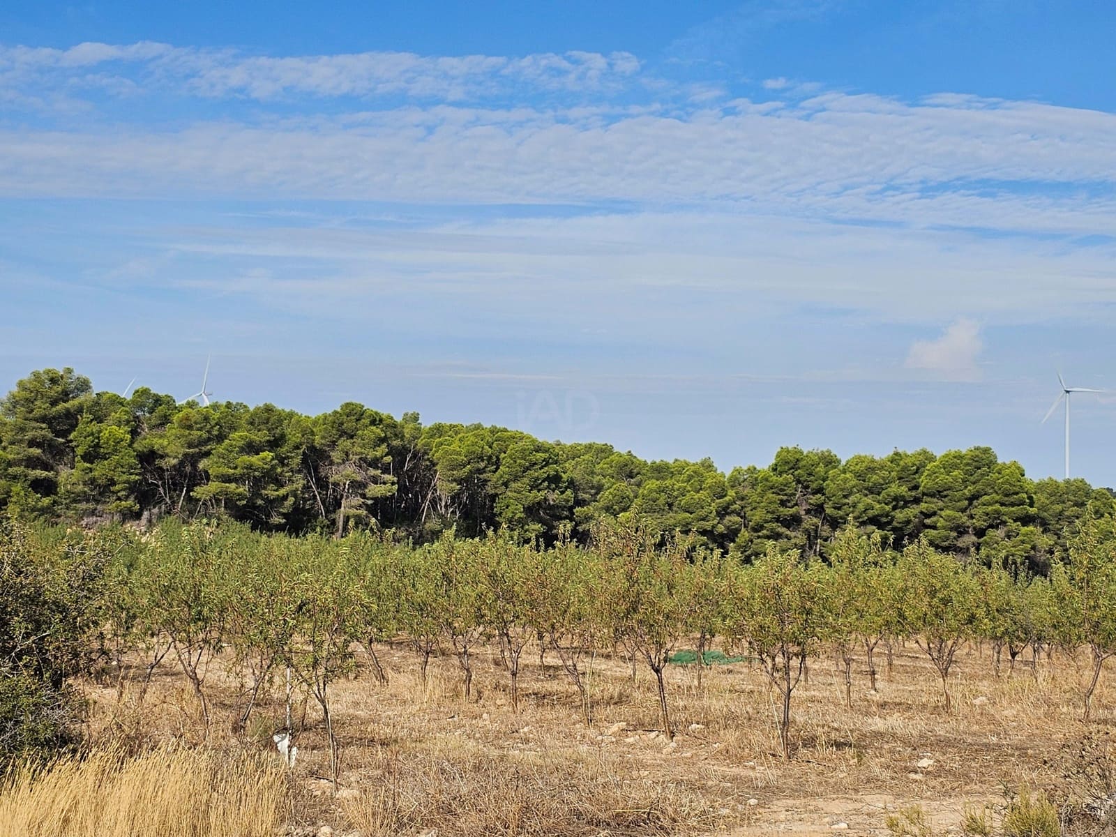 Finca/Country House for sale in Tarragona city - € 450,000 (Ref: 9989204)