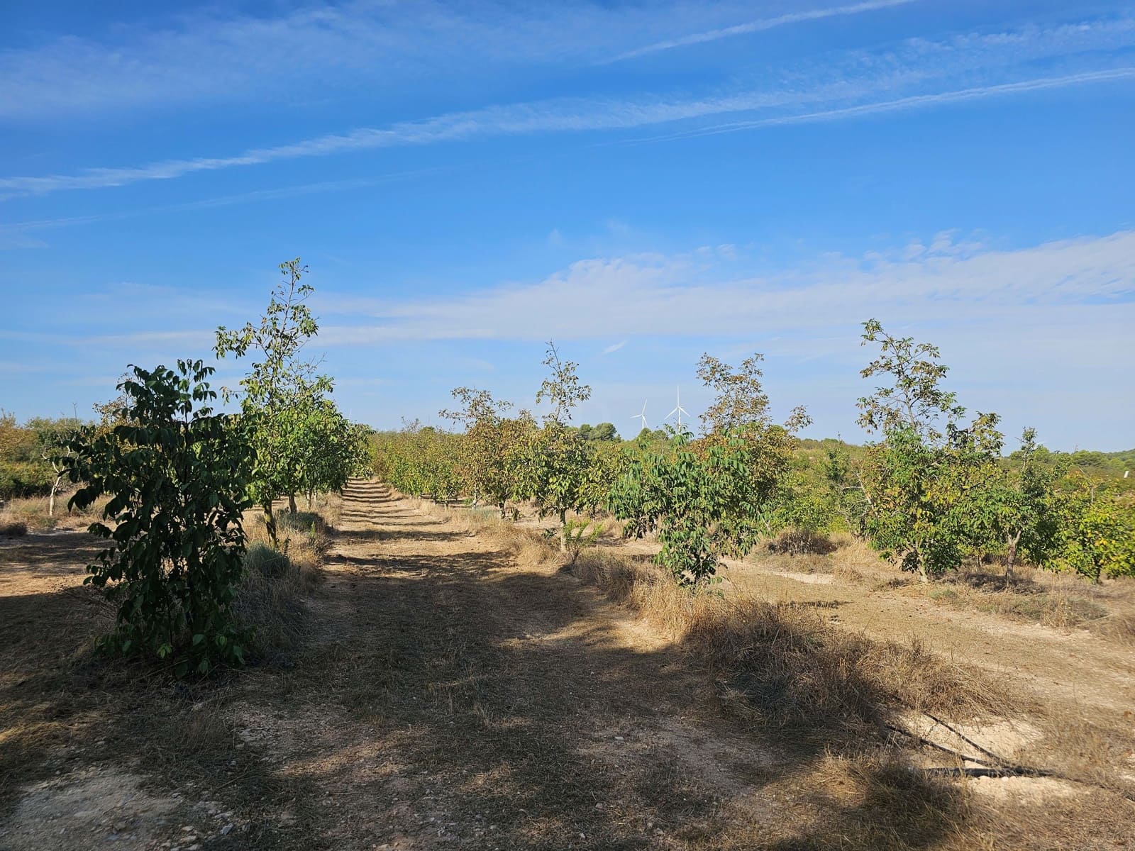 Finca/Country House for sale in Tarragona city - € 450,000 (Ref: 9989204)