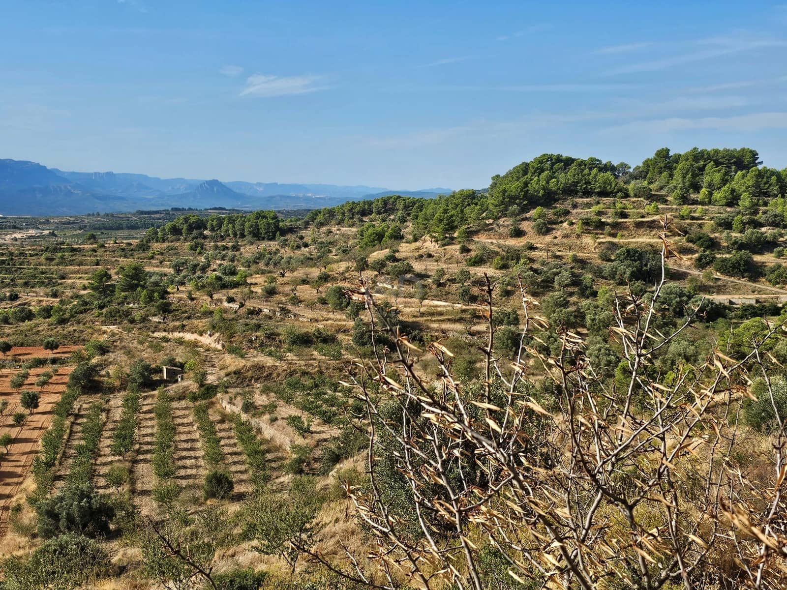 Finca/Country House for sale in Tarragona city - € 450,000 (Ref: 9989204)