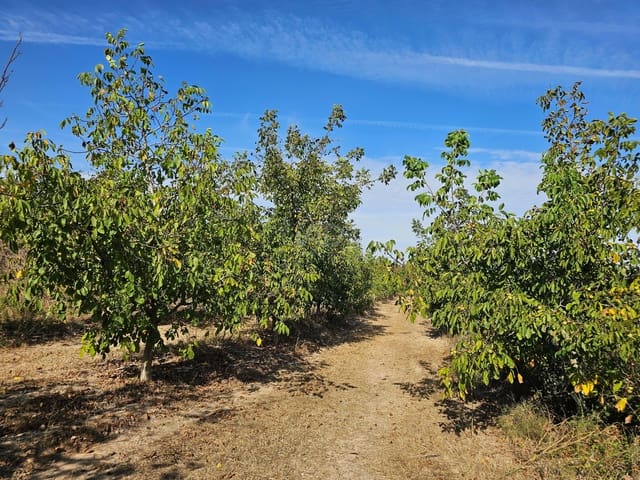 Finca/Maison de Campagne à vendre à Gandesa - 450 000 € (Ref: 9989204)