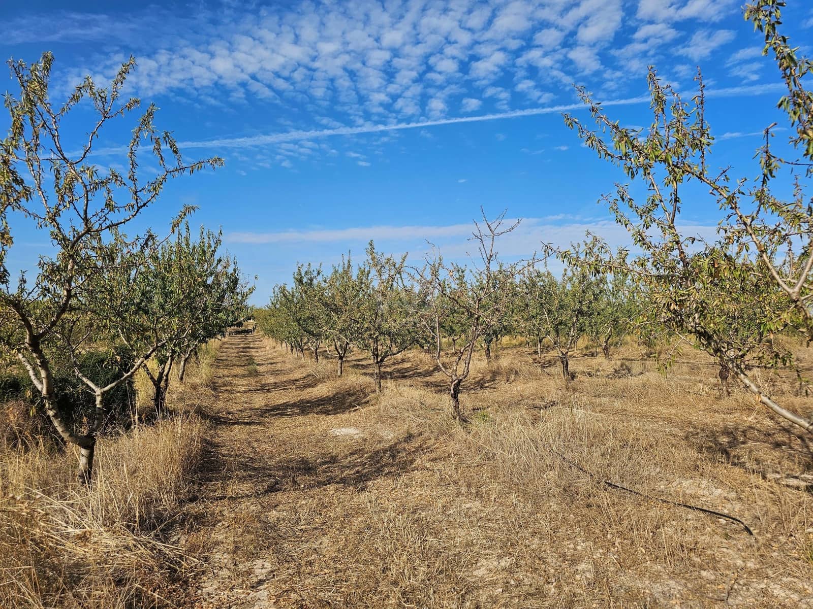 Finca/Country House for sale in Tarragona city - € 450,000 (Ref: 9989204)