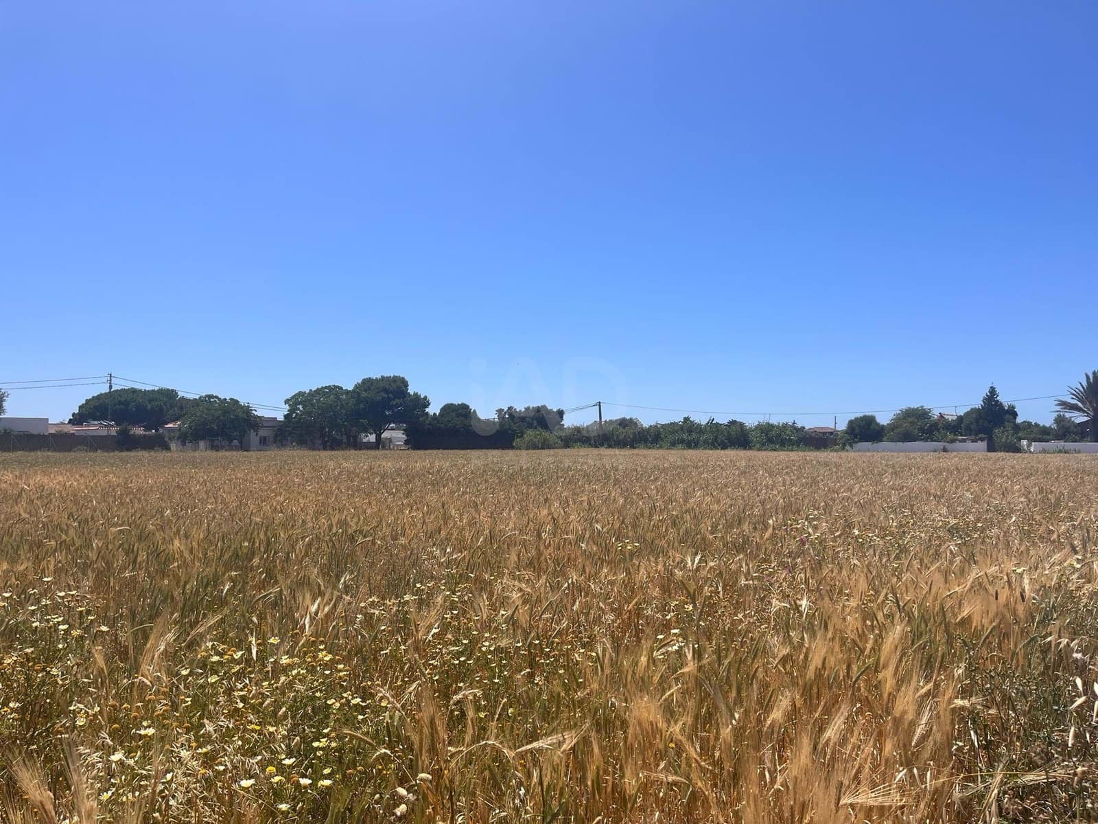 Grond te koop in Cadiz stad - € 250.000 (Ref: 9989205)