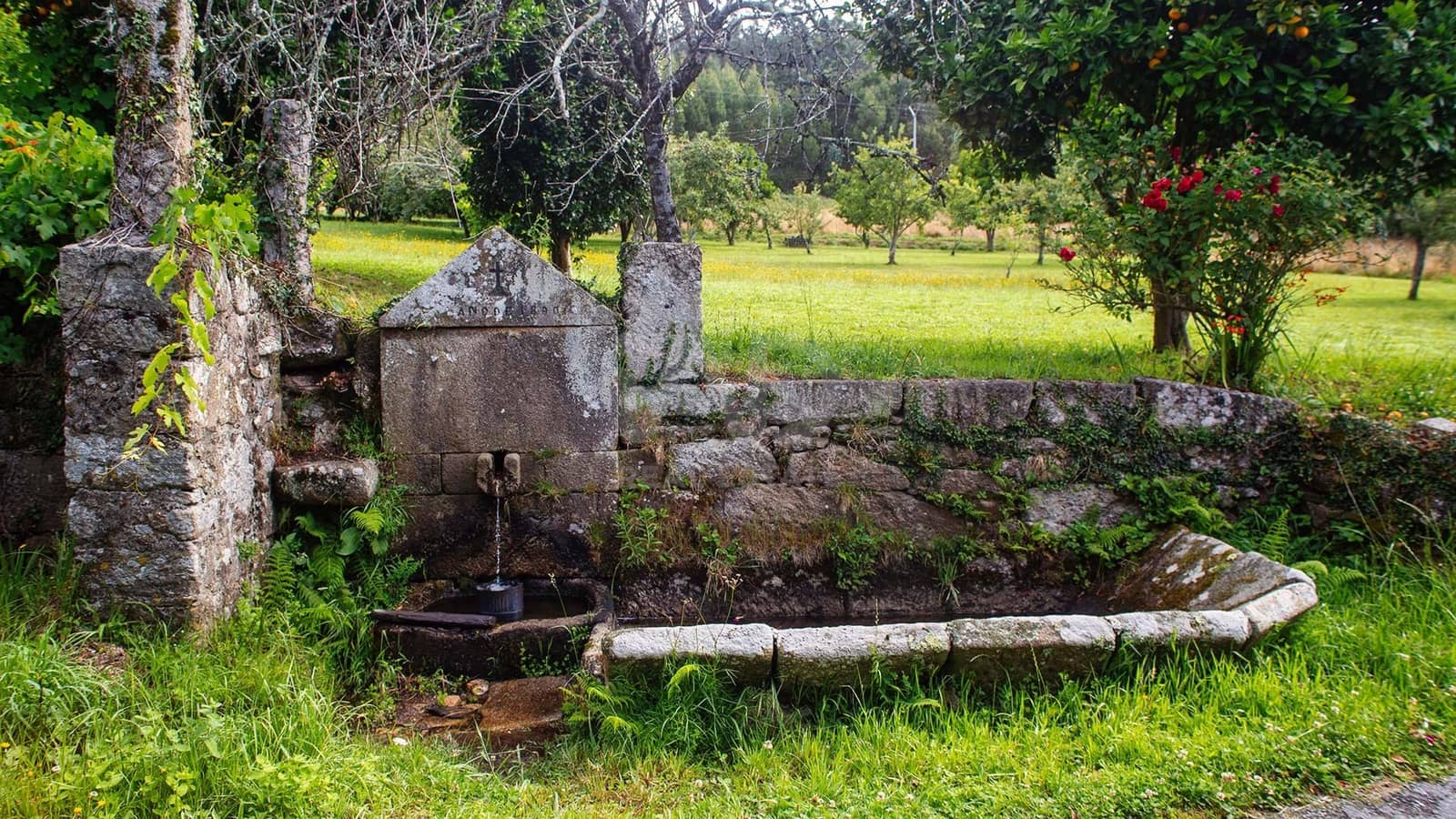 Quinta/Casa Rural para venda em Vilarmaior - 99 900 € (Ref: 9989211)