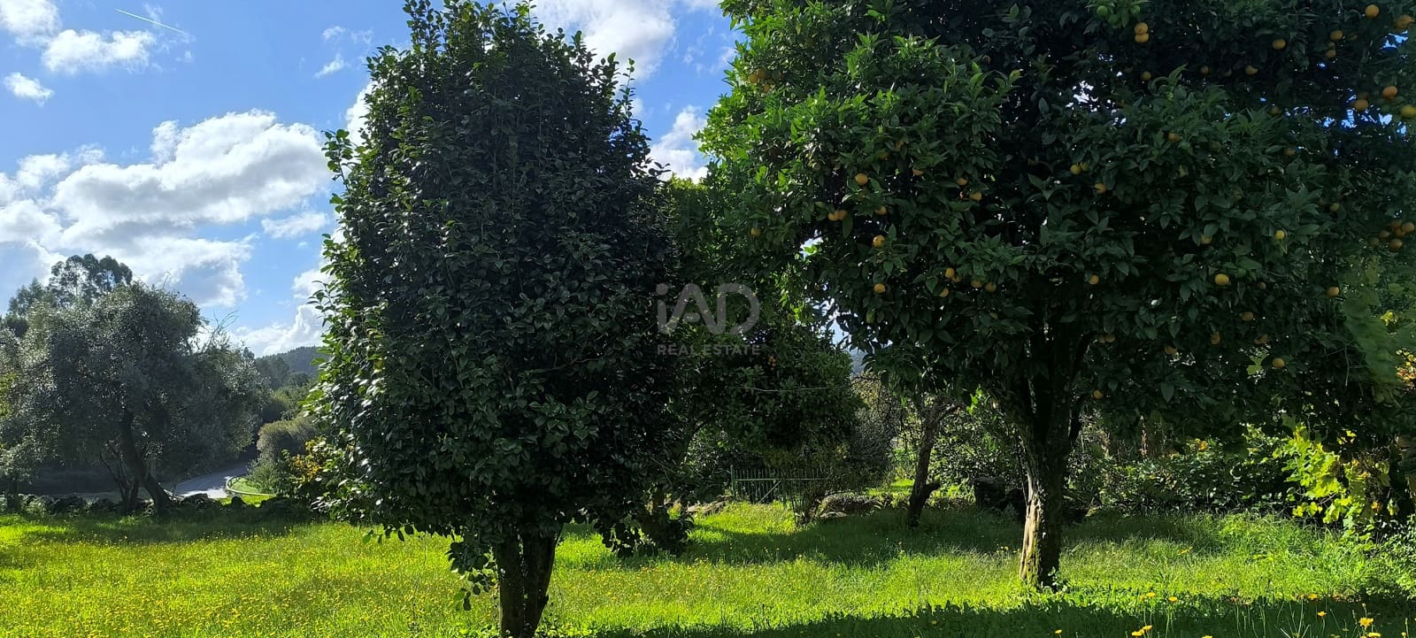 Quinta/Casa Rural para venda em Vilarmaior - 99 900 € (Ref: 9989211)