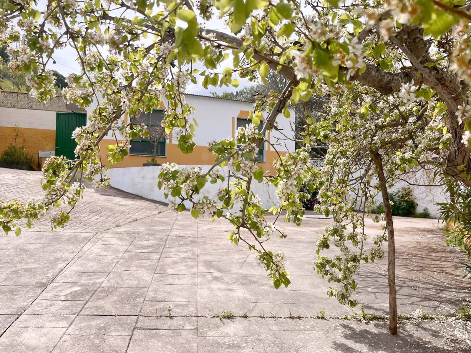 8 bedroom Finca/Country House for sale in Casabermeja with pool garage - € 542,000 (Ref: 9989212)