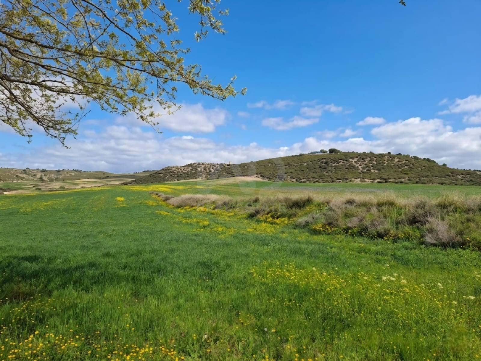 3 Zimmer Haus zu verkaufen in Zarzadilla de Totana - 118.000 € (Ref: 9989215)